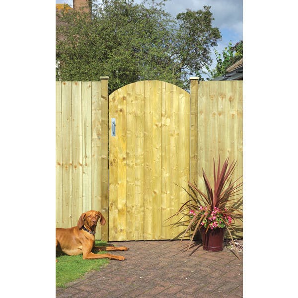 Arched Feather Edge Gate Gibbs & Dandy
